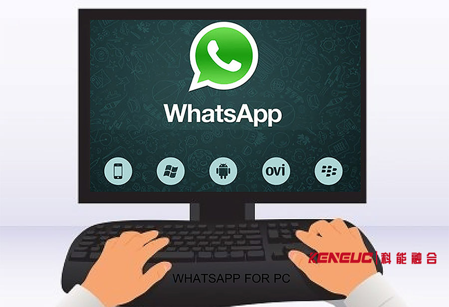 Whatsapp網(wǎng)頁版(如何在電腦上使用Whatsapp聊天)