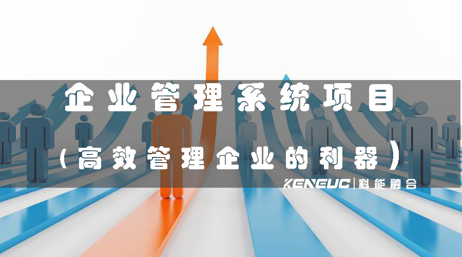 企業(yè)管理系統(tǒng)項目(高效管理企業(yè)的利器)
